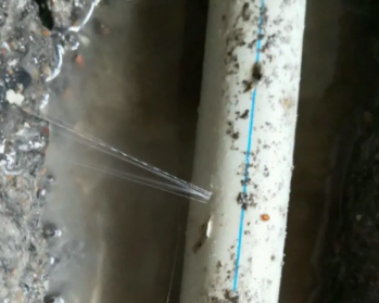 长兴卫生间测漏水多少钱