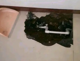 长兴卫生间测漏水多少钱